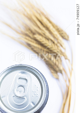 缶ビールと二条大麦 缶ビールと二条大麦 74909127