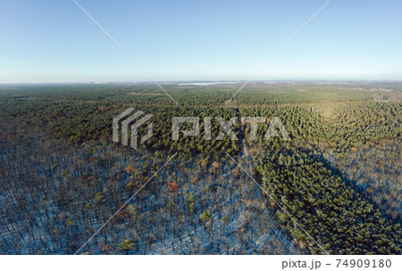 aerial drone view on winter forest with sun aerial drone view on winter forest with sun 74909180
