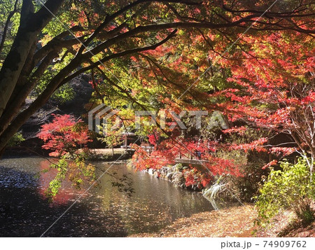 小松寺の紅葉の池 74909762