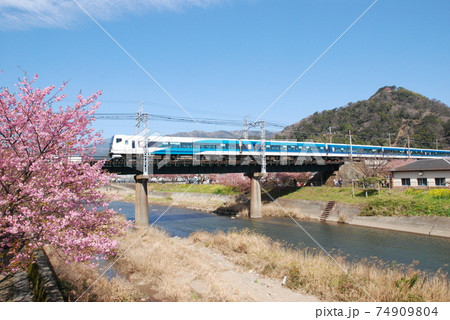 河津川を渡るE257系「踊り子」号 74909804