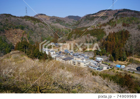梅林(徳島県吉野川市) 梅林(徳島県吉野川市) 74909969