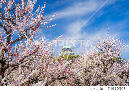 大阪城　梅林公園 74910503
