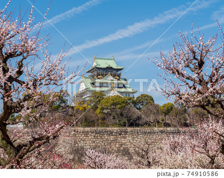 大阪城 梅林公園 大阪城 梅林公園 74910586