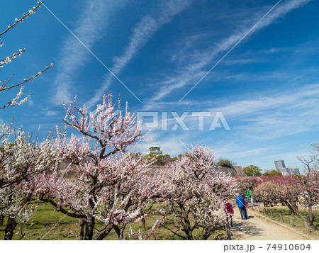 大阪城 梅林公園 大阪城 梅林公園 74910604