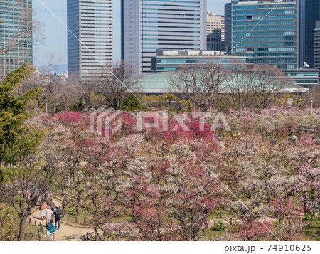 大阪城 梅林公園 大阪城 梅林公園 74910625