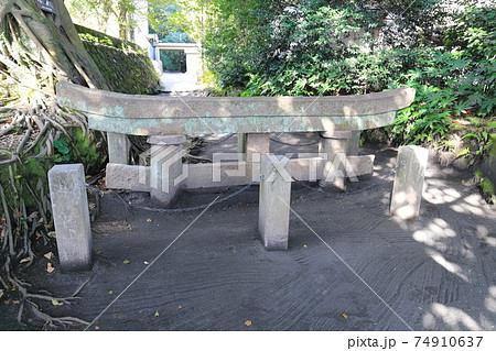 【鹿児島県】桜島の黒神埋没鳥居 74910637