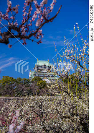 大阪城 梅林公園 大阪城 梅林公園 74910690