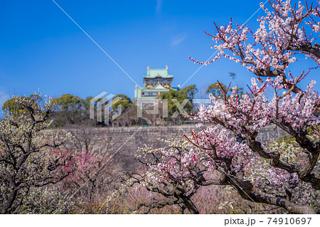 大阪城　梅林公園 74910697