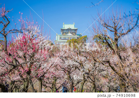 大阪城　梅林公園 74910698