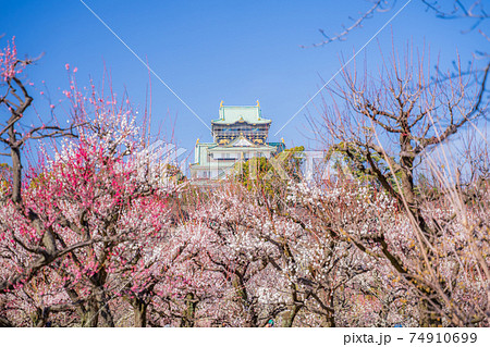 大阪城 梅林公園 大阪城 梅林公園 74910699
