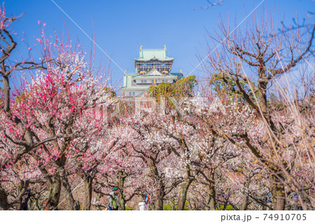大阪城　梅林公園 74910705