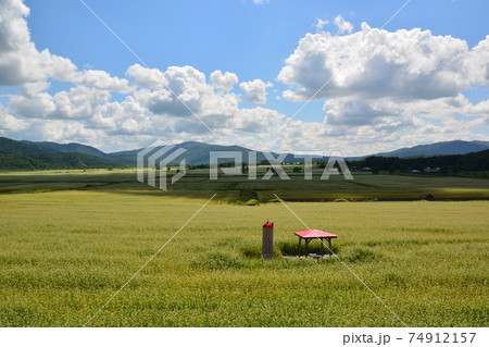 夏の花がきれいなそば畑に佇む東屋の写真素材