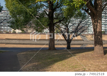 宮城ゆうゆう公園/東京都足立区宮城 宮城ゆうゆう公園/東京都足立区宮城 74912519