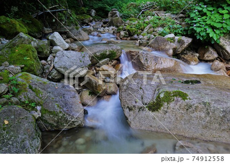 餓鬼岳登山道の白沢 餓鬼岳登山道の白沢 74912558