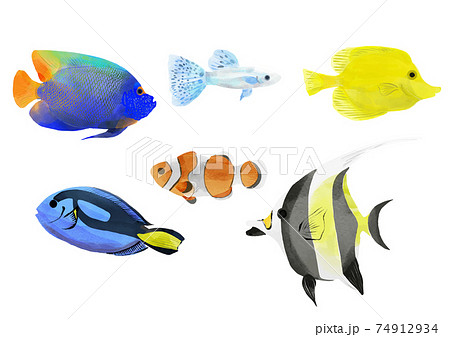 水彩風 熱帯魚のイラストのイラスト素材