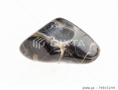 tumbled turritella agate fossil gemstone on white 74915244