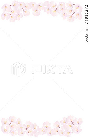 桜上下背景イラスト 白縦長のイラスト素材 桜上下背景イラスト 白縦長のイラスト素材