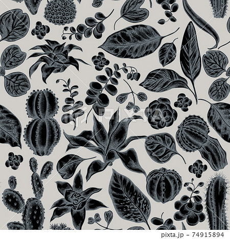 Seamless pattern with hand drawn stylized ficus, iresine, kalanchoe, calathea, guzmania, cactus 74915894