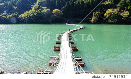 首都圏のオアシス・エメラルドグリーンの奥多摩湖のドラム缶橋(留浦浮橋) 3251 首都圏のオアシス・エメラルドグリーンの奥多摩湖のドラム缶橋(留浦浮橋) 3251 74915934