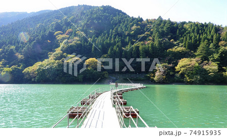 首都圏のオアシス・エメラルドグリーンの奥多摩湖のドラム缶橋(留浦浮橋)　3250	 74915935
