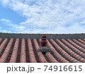 沖縄南部のレストラン　シーサー 74916615