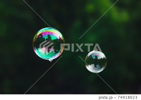 soap bubbles on green nature background 74918023