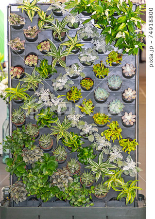 Vertical Garden Pots Vertical Garden Pots 74918800
