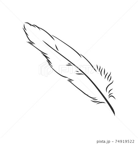 bird feathers. Hand drawn illustration converted to vector. Outline with transparent background, pen vector sketch illustration bird feathers. Hand drawn illustration converted to vector. Outline with transparent background, pen vector sketch illustration 74919522