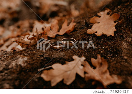 engagement gold wedding rings lie on a stone among orange dried fallen oak leaves 74920437