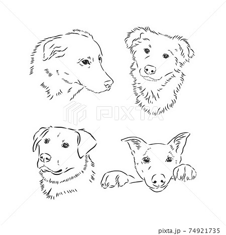 Pigs and piglets illustration Cartoon sketch style Hand outline drawing  cheerful funny animal vector Stock Vector Image  Art  Alamy