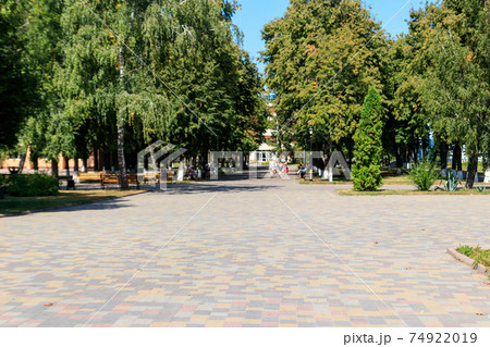 Footpath in city park at summer Footpath in city park at summer 74922019