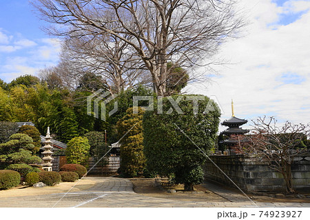 2月 世田谷743三重堂(三重塔)・慶元寺 2月 世田谷743三重堂(三重塔)・慶元寺 74923927