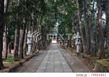 2月 世田谷739慶元寺表参道 2月 世田谷739慶元寺表参道 74923931