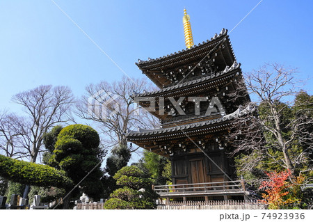 2月 世田谷734三重堂(三重塔)・慶元寺 2月 世田谷734三重堂(三重塔)・慶元寺 74923936