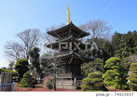 2月 世田谷733三重堂(三重塔)・慶元寺 2月 世田谷733三重堂(三重塔)・慶元寺 74923937