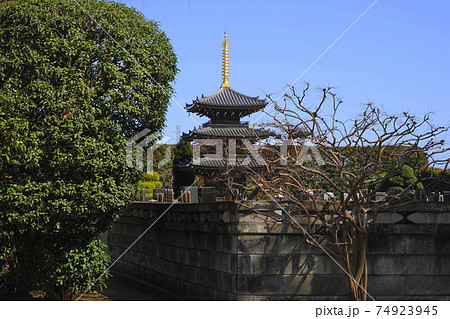 2月 世田谷725三重堂(三重塔)・慶元寺 2月 世田谷725三重堂(三重塔)・慶元寺 74923945