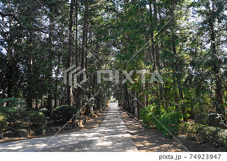 2月 世田谷722慶元寺表参道 2月 世田谷722慶元寺表参道 74923947