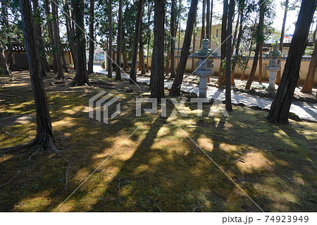 2月 世田谷721慶元寺表参道 2月 世田谷721慶元寺表参道 74923949