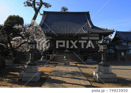 2月　世田谷720慶元寺本堂 74923950