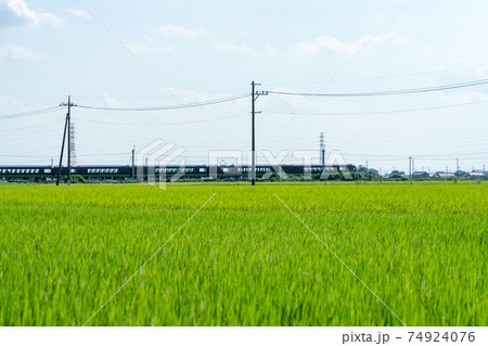 夏の田んぼと列車　（8月） 74924076