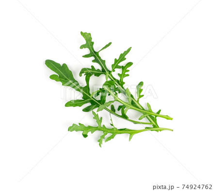 Arugula, Arugula, Ruccola Leaves, Rucola, Eruca or Roquette Salad 74924762