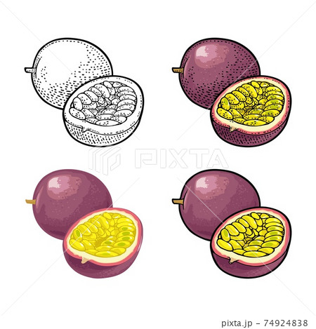 Whole and half maracuya with seed. Vector engraving 74924838