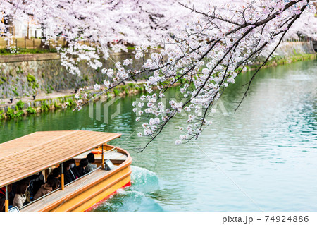岡崎疏水の屋形船と満開の桜 岡崎疏水の屋形船と満開の桜 74924886