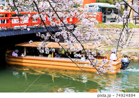 岡崎疏水の屋形船と満開の桜 岡崎疏水の屋形船と満開の桜 74924894