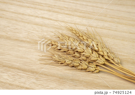 小麦の穂 小麦の穂 74925124