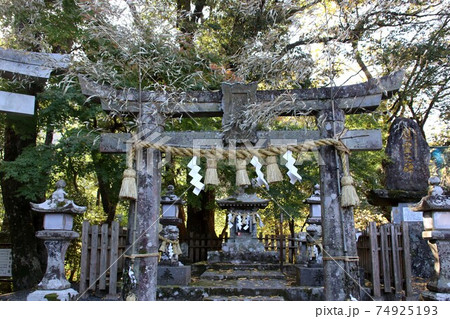 武雄市にある武雄神社の城山稲荷神社 武雄市にある武雄神社の城山稲荷神社 74925193