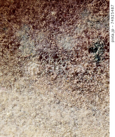 natural mold texture, abstract background 74925487