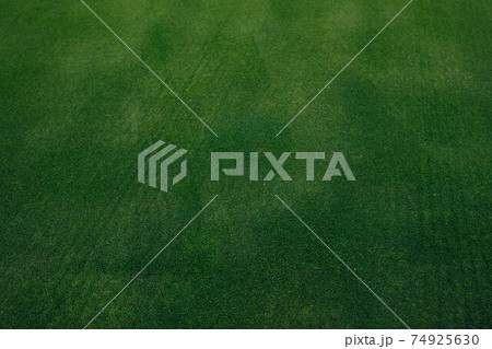 golf course green grass texture, closeup view 74925630