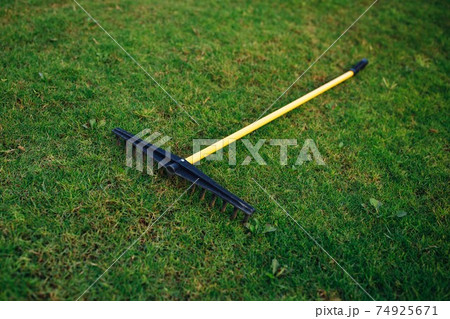 golf course bunker rake on green grass 74925671