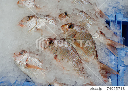 red seabreams fish on ice tray 74925718